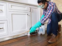 Real Estate Pest Inspections in San Ramon, CA